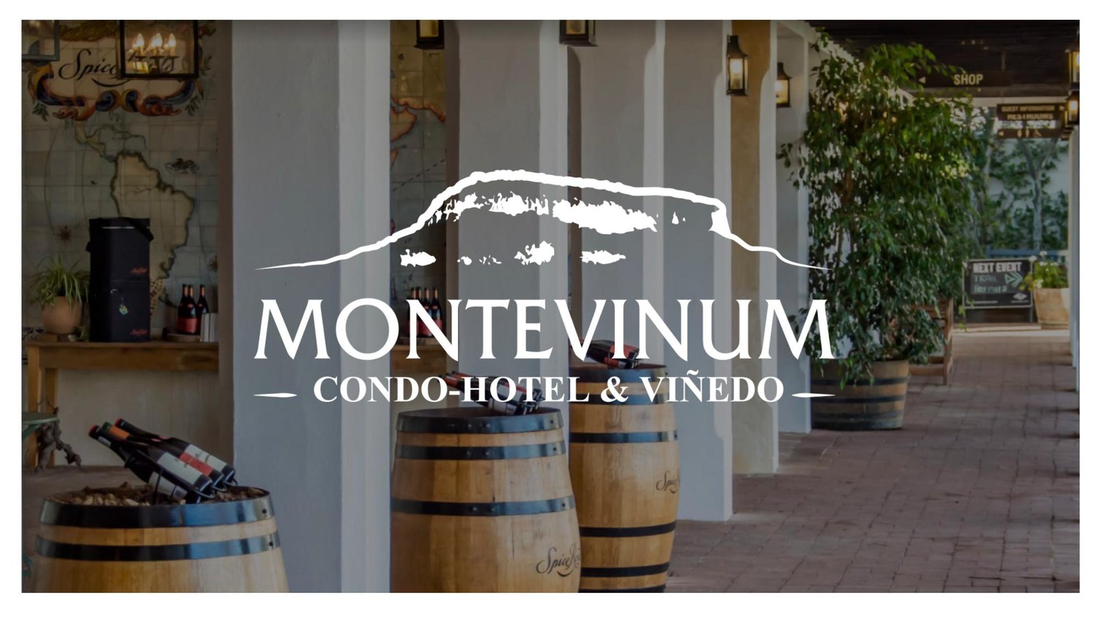 Montevinum - Imagen 18